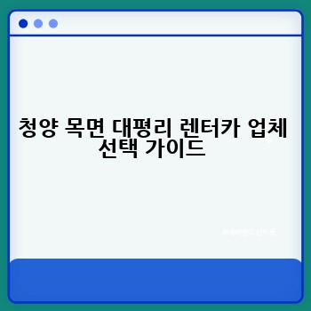 청양 목면 대평리 렌터카 업체 선택 가이드