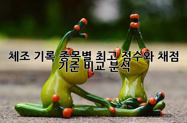 체조 기록: 종목별 최고 점수와 채점 기준 비교 분석