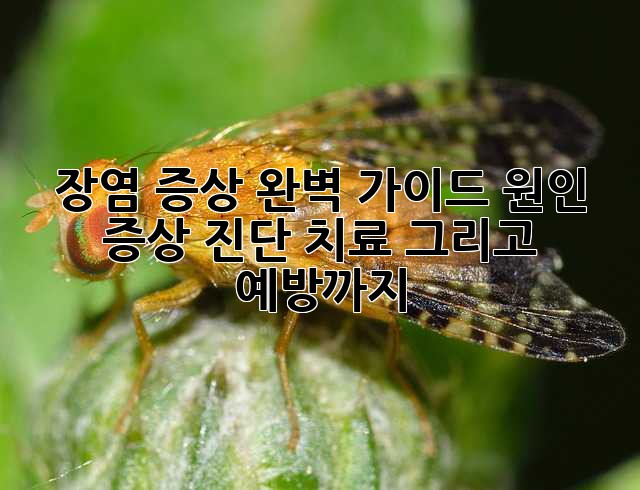 장염 증상 완벽 가이드: 원인, 증상, 진단, 치료 그리고 예방까지!