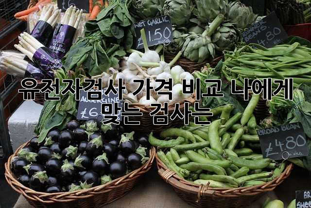 유전자검사 가격 비교: 나에게 맞는 검사는?