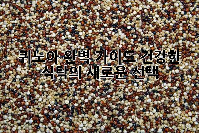 퀴노아 완벽 가이드: 건강한 식탁의 새로운 선택