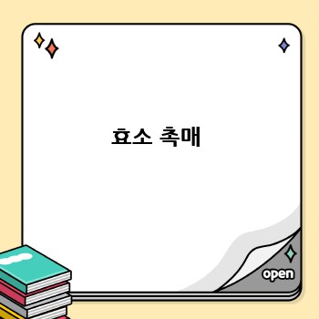 효소 촉매