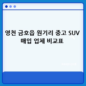 영천 금호읍 원기리 중고 SUV 매입 업체 비교표