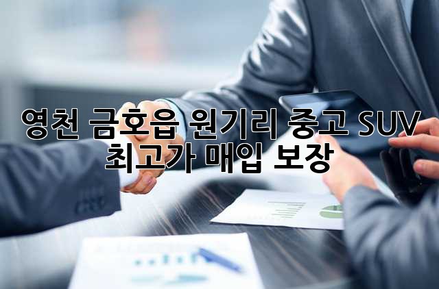 영천 금호읍 원기리 중고 SUV, 최고가 매입 보장!