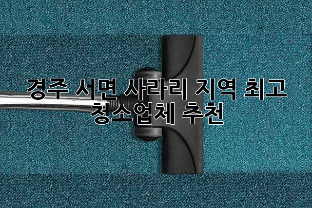 경주 서면 사라리 지역 최고 청소업체 추천! ✨