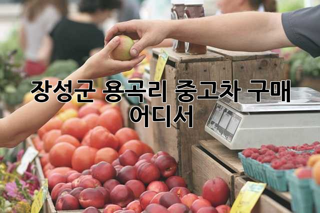 장성군 용곡리 중고차 구매, 어디서?