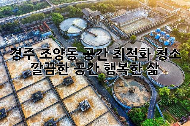 경주 조양동 공간 최적화 청소: 깔끔한 공간, 행복한 삶