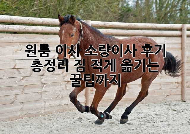 원룸 이사, 소량이사 후기 총정리! 짐 적게 옮기는 꿀팁까지!