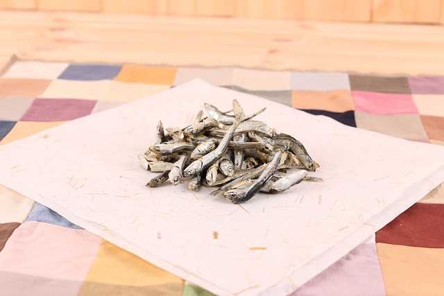 남해 죽방멸치 완벽 가이드: 맛, 효능, 구매, 보관까지!
