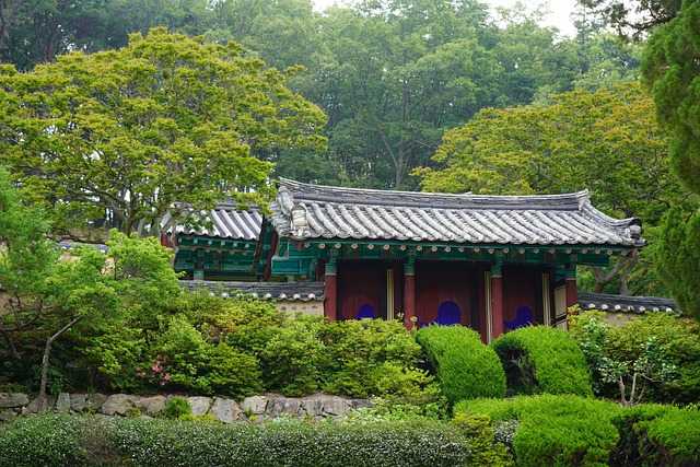 삼국사기: 역사 서술과 고려의 정통성