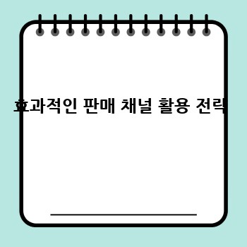 효과적인 판매 채널 활용 전략