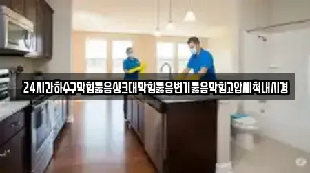 24시간하수구막힘뚫음싱크대막힘뚫음변기뚫음막힘고압세척내시경
