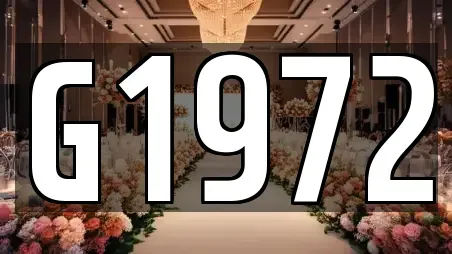 대구 중구 서야동 웨딩드레스 예약정보 16