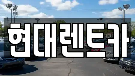 강원 강릉시 견소동 렌트카 전문 현대렌트카