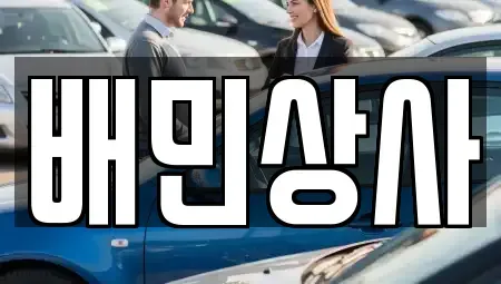 강원 강릉시 견소동 중고차 전문 배민상사