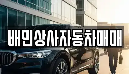 강원 강릉시 견소동 중고차 전문 배민상사자동차매매