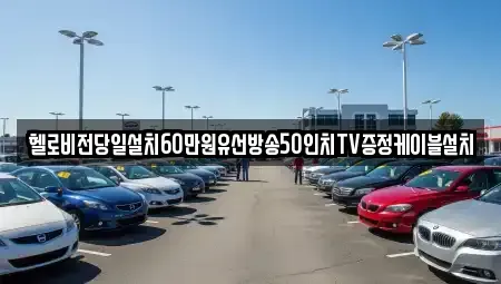 강원 삼척시 가곡면 중고차 전문 헬로비전당일설치60만원유선방송50인치TV증정케이블설치