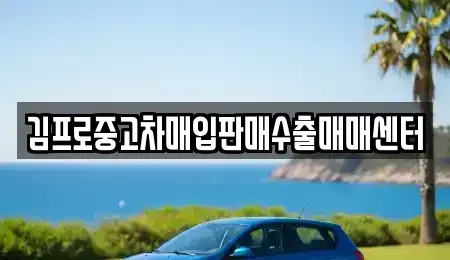 강원 인제군 인제읍 중고차매매 전문 김프로중고차매입판매수출매매센터