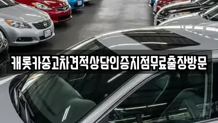 강원 인제군 인제읍 중고차매매 전문 캐롯카중고차견적상담인증지점무료출장방문