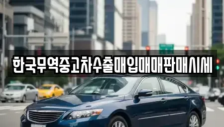 강원 인제군 인제읍 중고차매매 전문 한국무역중고차수출매입매매판매시세