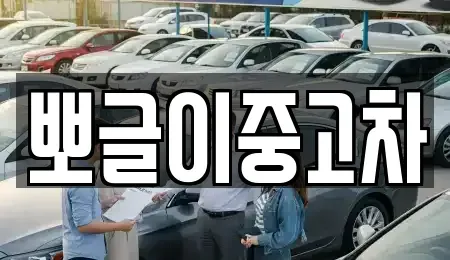 강원특별자치도 삼척시 가곡면 중고차매매,단기렌트카,중고차매입,장기렌트카,중고차,렌트카