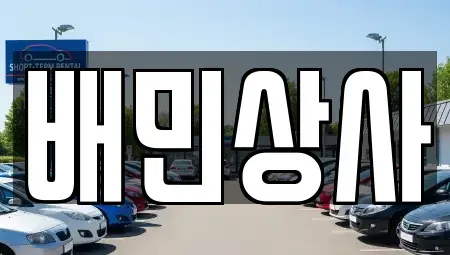 강원특별자치도 삼척시 근덕면 중고차매매 전문 배민상사