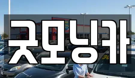 강원특별자치도 춘천시 소양로1가 중고차매매,단기렌트카,중고차매입,장기렌트카,중고차,렌트카