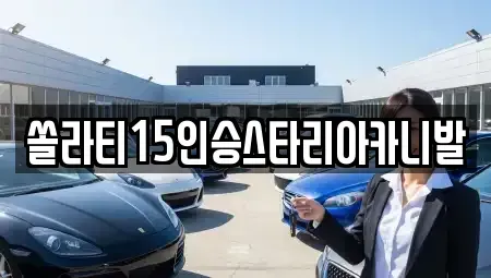 경기 가평군 청평면 렌트카 전문 쏠라티15인승스타리아카니발