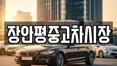 경기 가평군 청평면 중고차매매 전문 장안평중고차시장