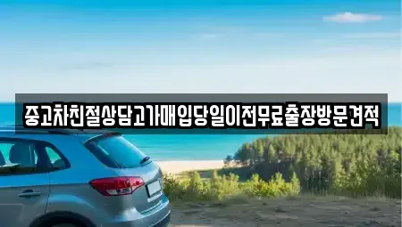 경기 가평군 청평면 중고차매입 전문 중고차친절상담고가매입당일이전무료출장방문견적