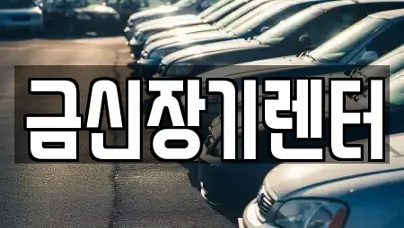 경기 김포시 고촌읍 단기렌트카 전문 금신장기렌터
