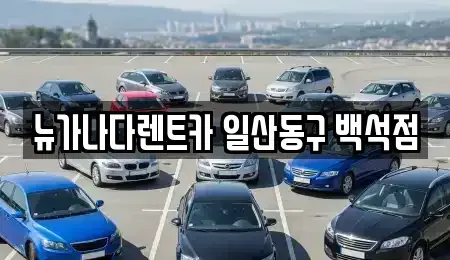 경기 김포시 고촌읍 단기렌트카,중고차매입,중고차매매,중고차,렌트카,장기렌트카