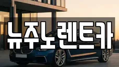 경기 김포시 고촌읍 단기렌트카 전문 뉴주노렌트카
