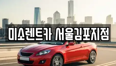 경기 김포시 고촌읍 렌트카 전문 미소렌트카 서울김포지점