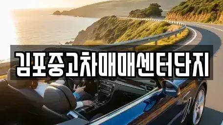 경기 김포시 고촌읍 중고차매매 전문 김포중고차매매센터단지