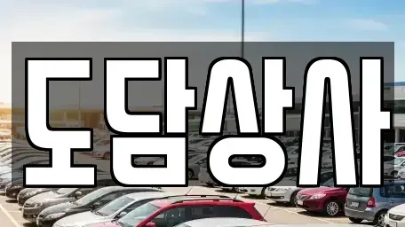 경기 김포시 고촌읍 중고차매매 전문 도담상사