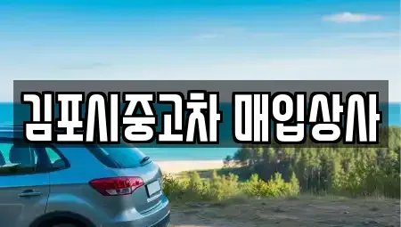 경기 김포시 고촌읍 중고차매입 전문 김포시중고차 매입상사