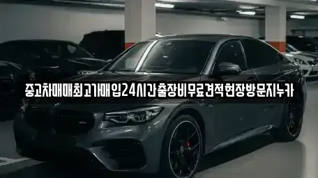 경기 김포시 고촌읍 중고차매입 전문 중고차매매최고가매입24시간출장비무료견적현장방문지누카