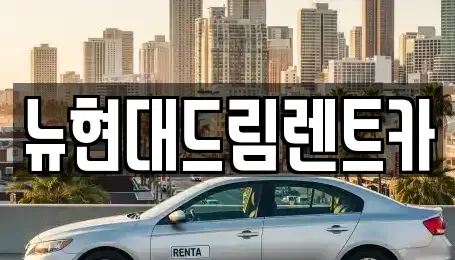 경기 시흥시 방산동 렌트카 전문 뉴현대드림렌트카