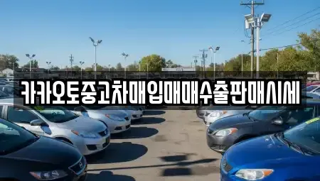 경기 시흥시 방산동 중고차매매 전문 카카오토중고차매입매매수출판매시세