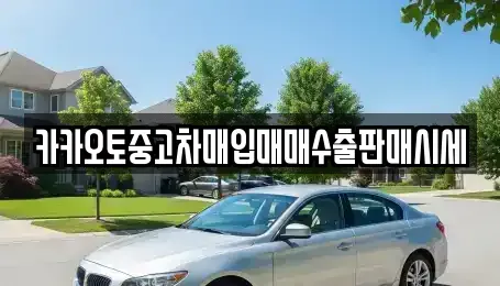 경기 여주시 오금동 중고차매매 전문 카카오토중고차매입매매수출판매시세