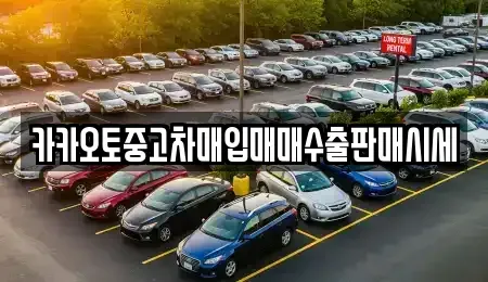 경기 연천군 미산면 중고차 전문 카카오토중고차매입매매수출판매시세