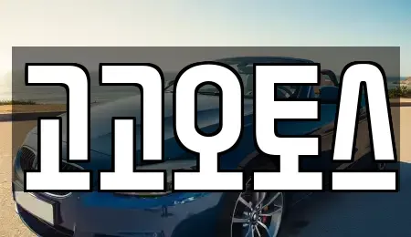 경기 의왕시 월암동 렌트카 전문 고고오토스