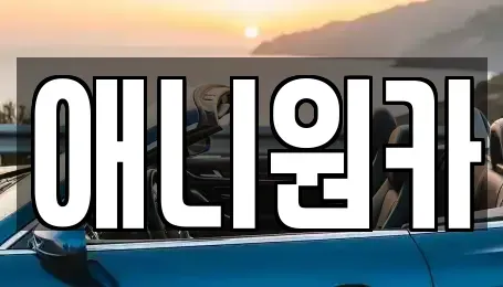 경기 의왕시 월암동 장기렌트카 전문 애니원카