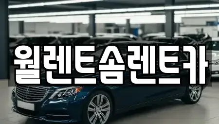 경기 이천시 송정동 렌트카 전문 월렌트솜렌트카