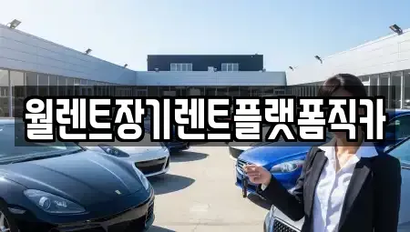 경기 이천시 송정동 렌트카 전문 월렌트장기렌트플랫폼직카