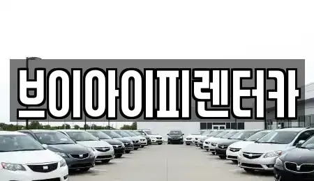 경기 파주시 목동동 렌트카 전문 브이아이피렌터카