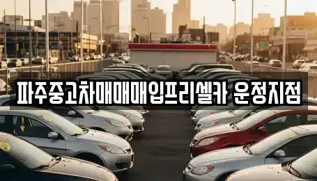 경기 파주시 목동동 중고차매입 전문 파주중고차매매매입프리셀카 운정지점