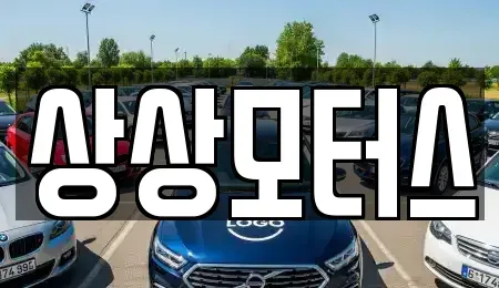 경기 포천시 소흘읍 중고차 전문 상상모터스