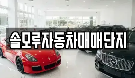 경기 포천시 소흘읍 중고차매매 전문 솔모루자동차매매단지